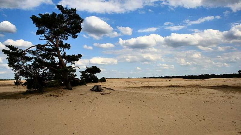 De Hoge Veluwe National Park - Sand Area Hoge Veluwe, tags: ihr die - CC BY-SA