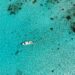 Stunning aerial view of white boats on the clear, turquoise waters of Belize, showcasing marine life., tags: ambergris - pexel