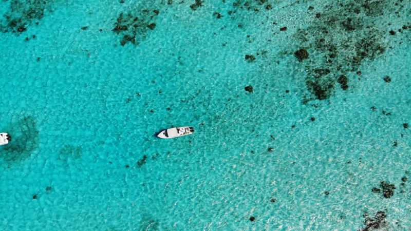 Stunning aerial view of white boats on the clear, turquoise waters of Belize, showcasing marine life., tags: ambergris - pexel